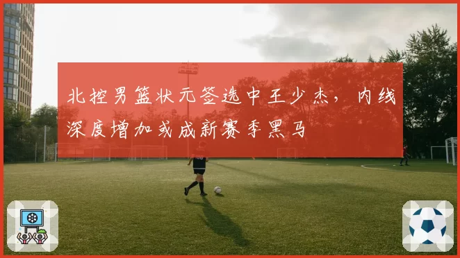 北控男篮状元签选中王少杰,内线深度增加或成新赛季黑马