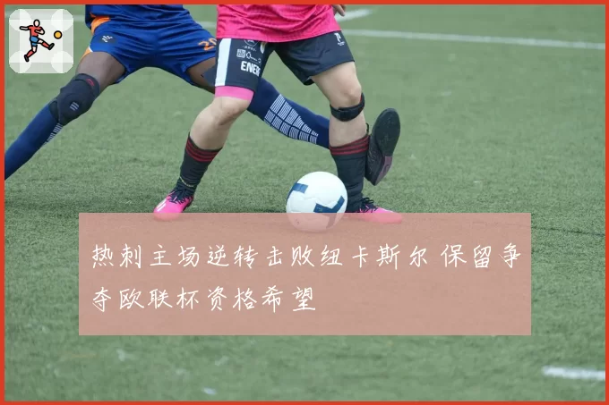 热刺主场逆转击败纽卡斯尔 保留争夺欧联杯资格希望