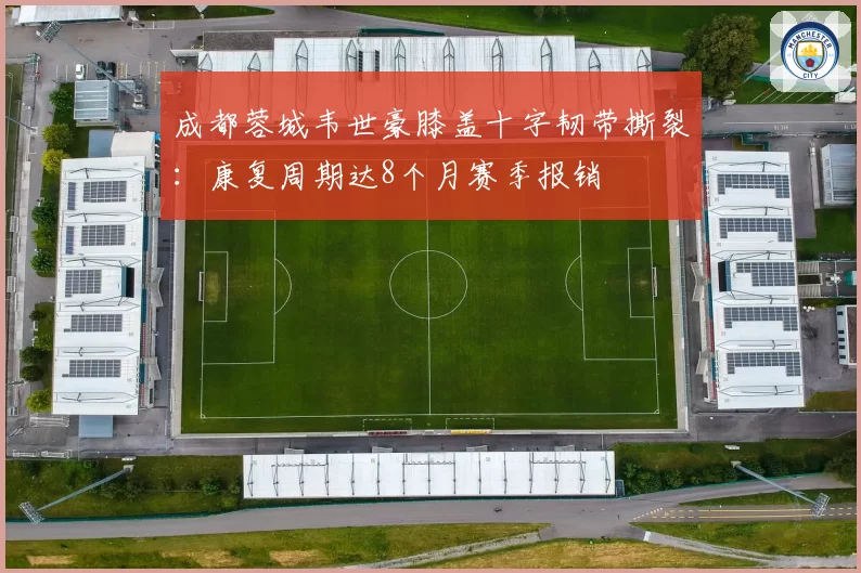成都蓉城韦世豪膝盖十字韧带撕裂:康复周期达8个月赛季报销