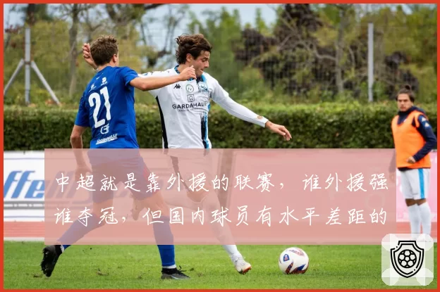 中超就是靠外援的联赛，谁外援强谁夺冠，但国内球员有水平差距的