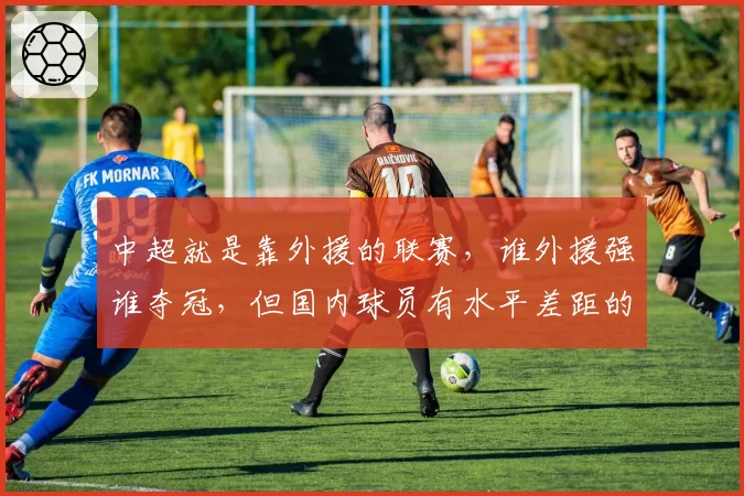 中超就是靠外援的联赛，谁外援强谁夺冠，但国内球员有水平差距的