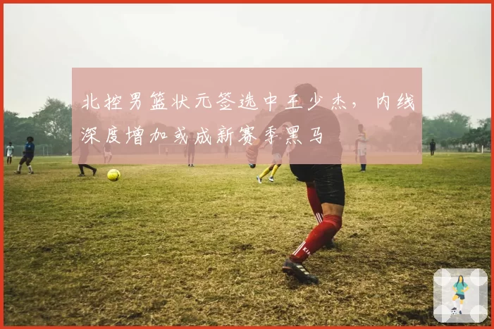北控男篮状元签选中王少杰,内线深度增加或成新赛季黑马