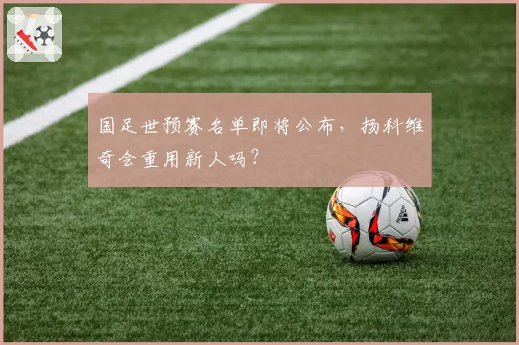 国足世预赛名单即将公布，扬科维奇会重用新人吗？