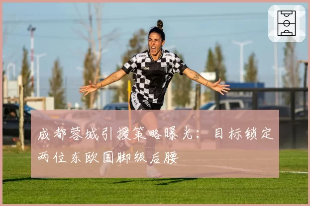 成都蓉城引援策略曝光：目标锁定两位东欧国脚级后腰