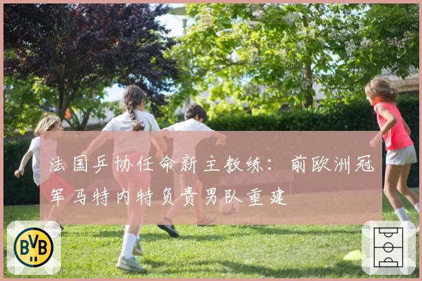 法国乒协任命新主教练：前欧洲冠军马特内特负责男队重建
